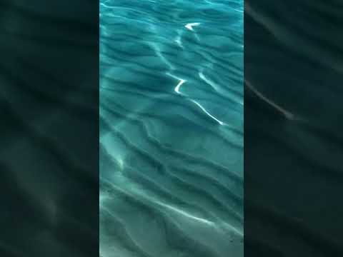 calm waves