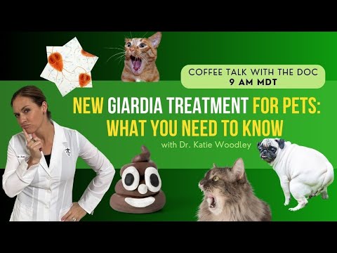 New Treatment for Giardia for Dogs & Cats with Holistic Vet - Dr. Katie Woodley