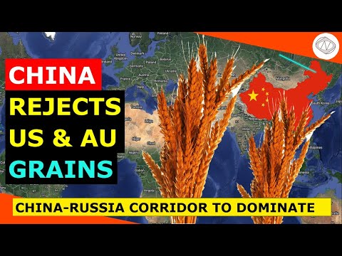 China Rejects US & AU Grains and Accepts Russian Grains: What's going on?