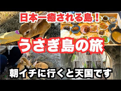 【広島旅行】うさぎ島（大久野島）で癒されまくる最高の時間を過ごしました