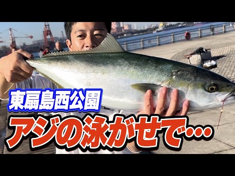 【東扇島西公園】食う瞬間からタモ入れまで完全収録！