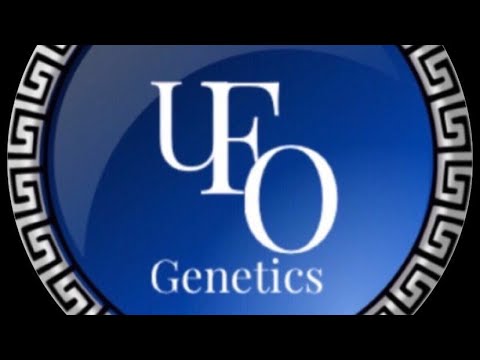 Meet the Breeder - Episode 2  - Meet UFO Genetics