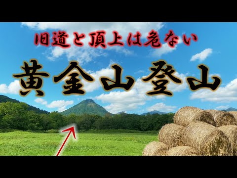 登山　北海道　危険　おすすめじゃない山だった　旧道コワ〜　でも楽しい　2024 9 　