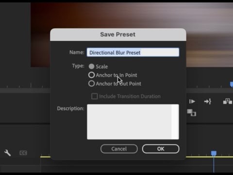 Premiere Pro Tutorial - Creating Presets