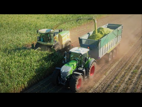 Maisernte 2022 mit einem Krone BigX 880 und Fendt 930 des Lohnunternehmen Deeters im Emsland