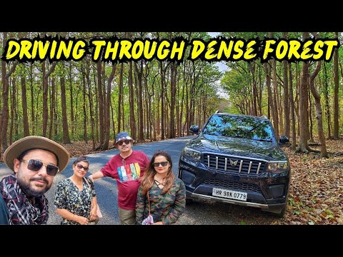 Driving through Dense Rajaji Tiger Reserve on Mahindra Scorpio N | Gurugram to Mussoorie