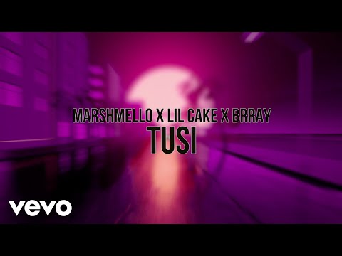 Marshmello, LiL CaKe, Brray - Tusi (Visualizer)