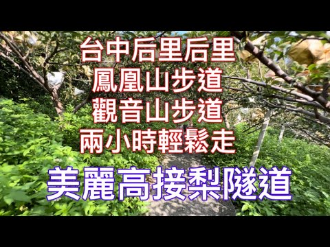 台中后里一次走兩步道#鳳凰山步道#觀音山步道#八字形一圈2小時輕鬆走，途中經過美麗的果園