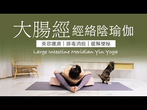 【大腸經 | 陰瑜伽】40分鐘 Meridian Yin Yoga ★ #經絡養生 #美容護膚 #排毒消痘 #yinyoga #緩解便秘