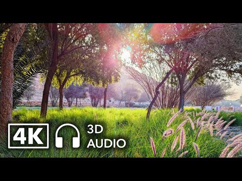 Relaxing Sound of Chirping Birds as Sun Rises on Wadi Hanifa - Riyadh (Spatial Audio for Relaxation)