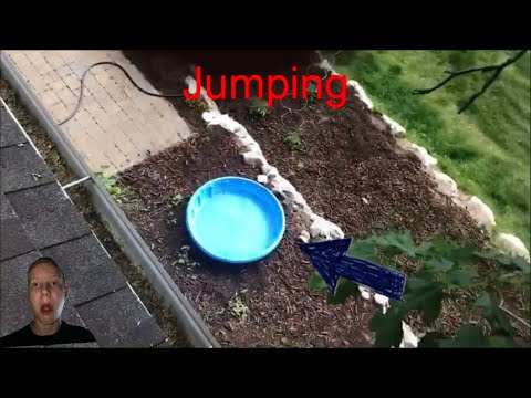 Jumping off my roof ( 1 mil views )