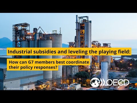 Industrial Subsidies and Levelling the Playing Field