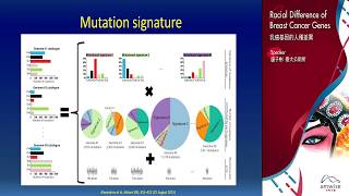 【2017台北國際乳癌研討會】乳癌基因的人種差異／發表者：盧子彬 助理教授（台大公共衛生學院  流行病學與預防醫學研究所）