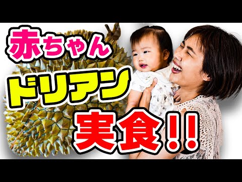 【食べられる？】1歳児のパンちゃんがドリアンに挑戦します｜日本人・ベトナム人の国際結婚カップル