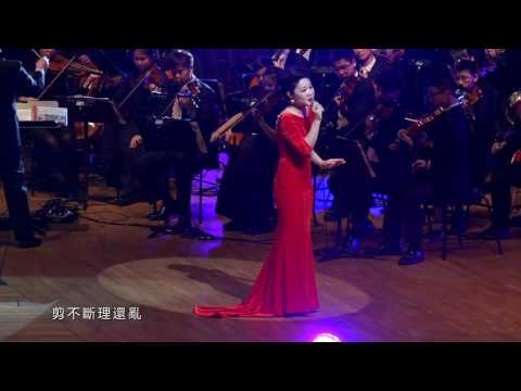 王靜 Wang Jing 《独上西楼》