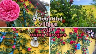 A beautiful village view / Garden Flowers #garden #beautifulgardenview #villagegarden #flowers