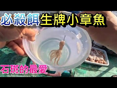 這次來去台南外海釣黃石斑，這邊的黃石斑跟別的地方不一樣，每隻都很大很粗，小章魚閃雜魚盜餌真好用