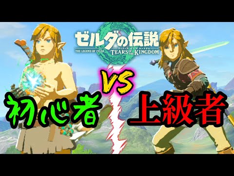 ティアキン版  初心者と上級者の違い【ティアキン】【TotK】