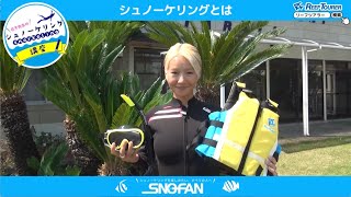 シュノーケリングと必要な道具【シュノーケリング初心者向け】