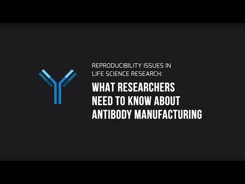 Antibody Manufacturing Demystified: The Path To High-Quality Antibodies