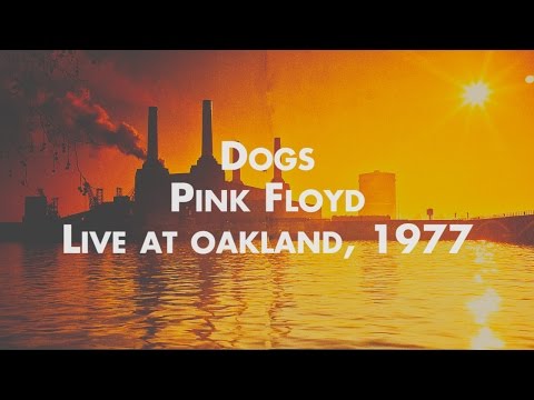 Pink Floyd - Dogs - Live at Oakland