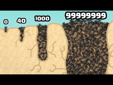 Growing a Ant Colony to MAX LEVEL