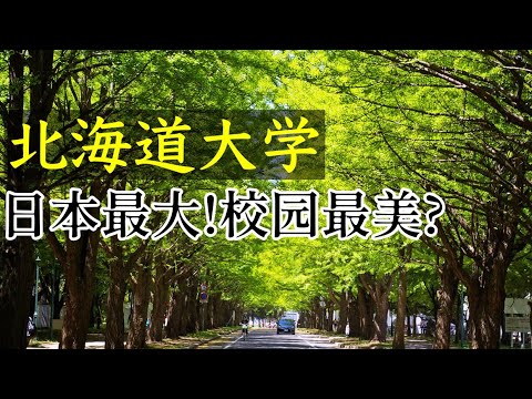 占地面積最大, 被譽為日本最美校園!來札幌一定要來逛一次北海道大學!遺憾的是沒蹭到飯...