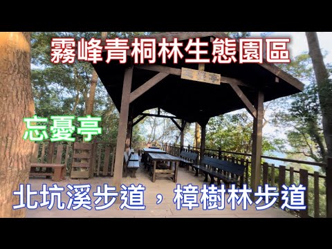 #霧峰青桐林生態園區￼#北坑溪步道#樟樹林步道￼ # 2小時輕鬆走