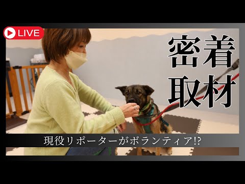 【LIVE】長谷川まさ子がピースワンコでボランティア！？新店舗の福岡譲渡センターで密着してみた!!