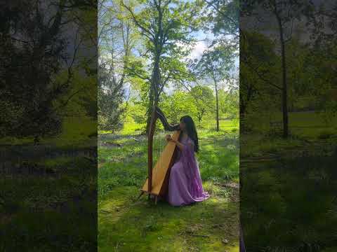 Dreamflower - New Sheet Music out Now! 🌸🎶🎼 #shorts #celticharp