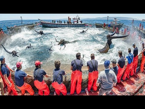 Lucky Fisherman Caught Something Incredible !