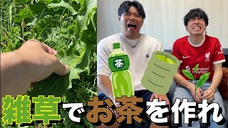 雑草で美味いお茶作ったやつが勝ち選手権！！！