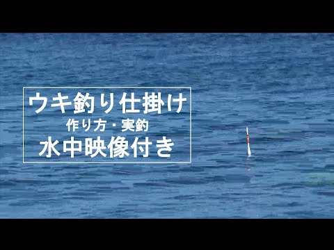 【ウキ釣り】仕掛け　作り方　水中動画付き　〜仕掛け作り方と注意点を解説〜