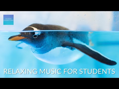 Relaxing Music For Elementary Students - Penguins 🐧 - Calm classroom music for children, study music