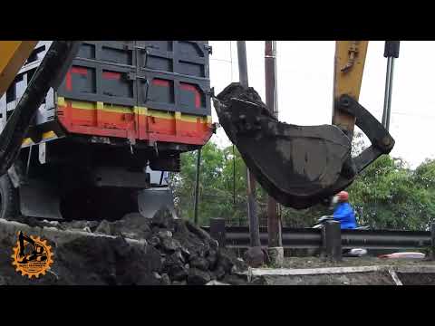 "Efficiency in Action: SANY Mini Excavator Expertly Loading with Precision"