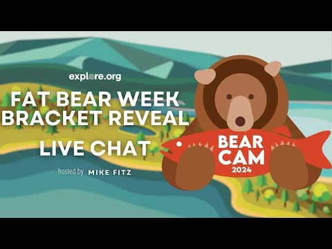 Fat Bear Week 2024 Bracket Reveal | Brooks Live Chat