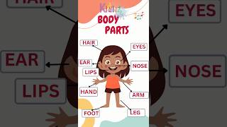 Learn Body parts | Body parts | Parts of the body. #bodyparts #kids #learn bodyparts