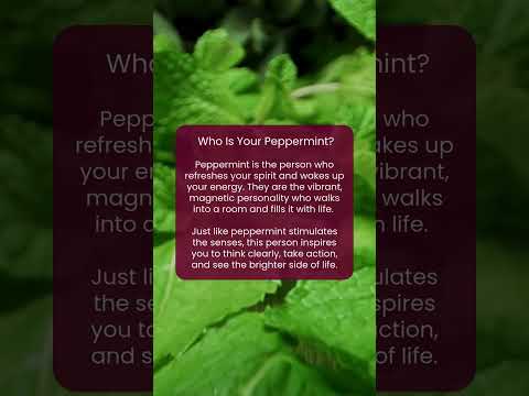 Who Is Your Peppermint?