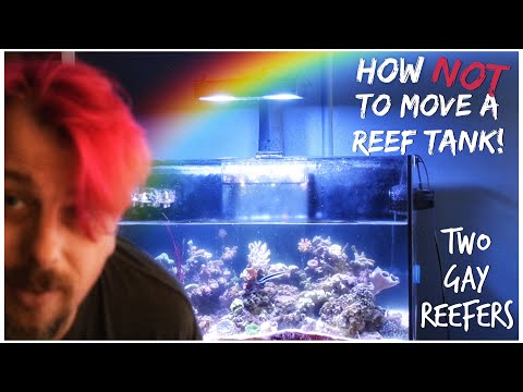 How NOT To Move A Reef Tank