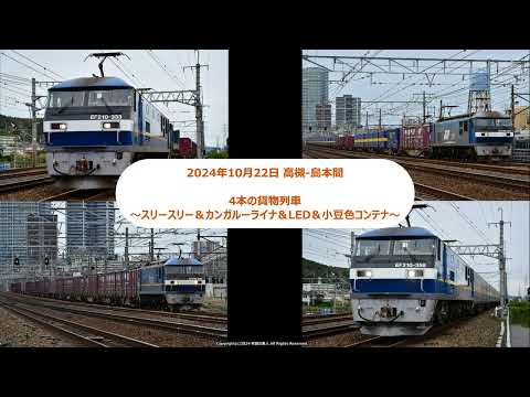 撮影できました4本の貨物列車～スリースリー＆カンガルーライナ＆LED＆小豆色コンテナ～（R6.10.22）