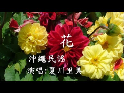 世界各地民謠 (沖繩) 花 (夏川里美)