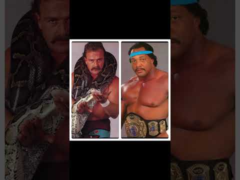 Ron Simmons or Jake "the Snake" Roberts? #shorts #wwe #jakeroberts #ronsimmons #prowrestling #fypシ゚