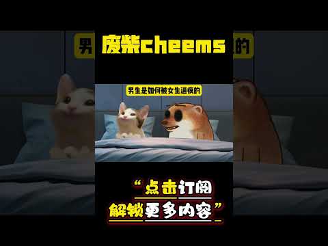 男生是如何被女生逼疯的 #cheems #情侣 #爱情 #搞笑 【废柴cheems】