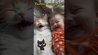 Доброе утро!❤️🥰 Добрый день!💖 #отличногонастроения #музыкальнаяоткрытка