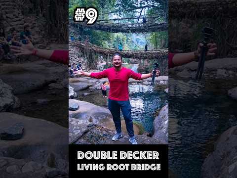 Trek to Double Decker Living Root Bridge | Living Roots Bridge of Meghalaya #shorts #travel