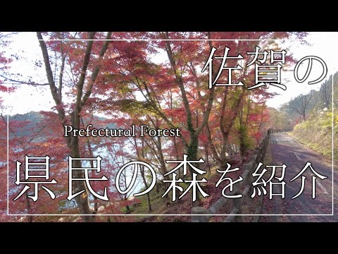 【佐賀市の県民の森を紹介】２１世紀県民の森　佐賀観光地