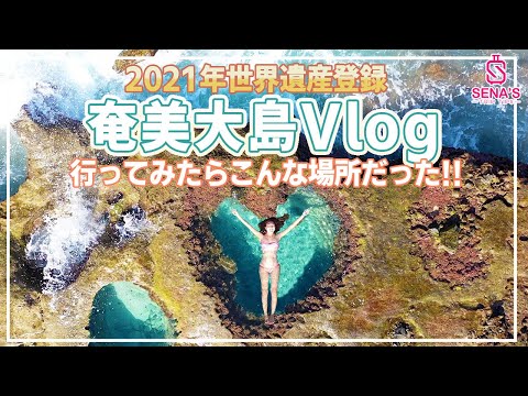 新世界遺産、奄美大島はこんな所だった！沖縄では味わえない東洋のガラパゴスVlog