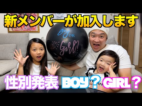 【重大報告】新メンバー加入？！男の子？女の子？ジェンダーリビール！☀️🌈