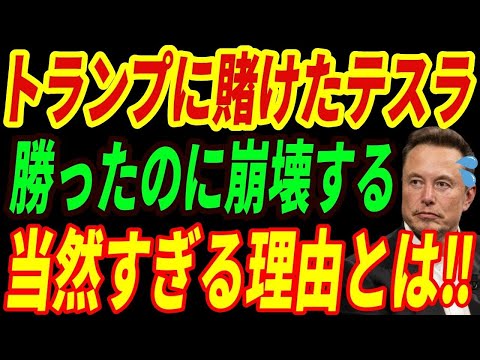 【海外の反応】トランプでEV終了⁉賭けに勝ったのにテスラが敗北する理由とは・・・