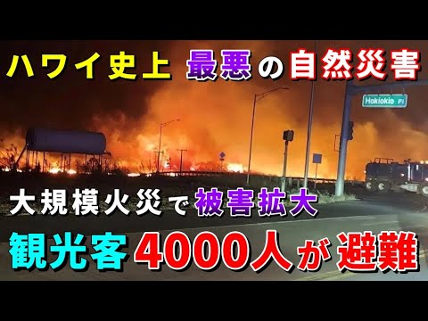 ［ハワイ速報］人気観光地を襲う大規模火災...渡航情報は必ずチェックしてください【ハワイ最新情報】【ハワイの今】【ハワイ旅行2023】【HAWAII】